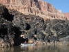 Grand Canyon MD2014 (975)-1280