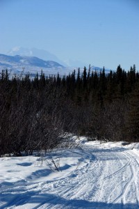 into the wild - stampede trail