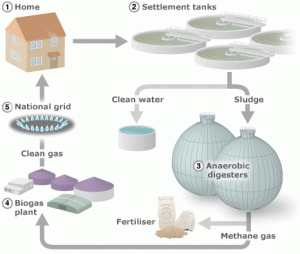 biogas digester city