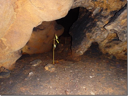 Lanquin Guatemala Caves 4
